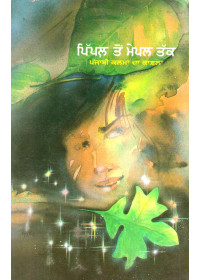 Pipal Ton Mepal Tak