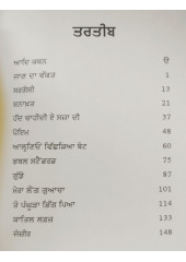 Alhnion Vichhria Boat - Pakistani Parvasi Punjabi Kahanian - Book by Lali Chaudhri 