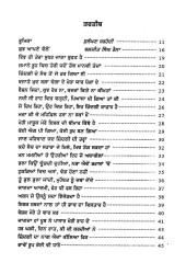 Mere Eh Shabad Shakti Ne - Book By Baljeet Singh Raina
