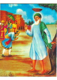 Sheikh Farid Ji - SSW311