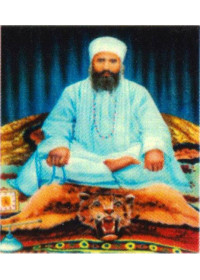 Baba Isher Singh Ji Nanaksar Kaleran - SSW847