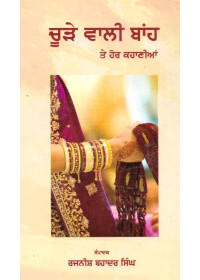 Churhe Wali Baah Te Hor Kahanian - Book By Rajnish Bahadur Singh