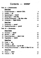 Learn Punjabi in 25 Days - Principal Santok Singh