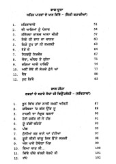 Pindan Aale - Book By Premjeet Singh Nainewalia