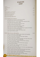Sri Guru Nanak Dev Ji - Life and Relics - An Illustrated Book by Gurbir Singh and Salinder Singh