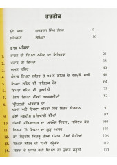 Iptan te Aman Laihair Da Itihaas - Dr Rajwant Kaur Maan 'Preet'