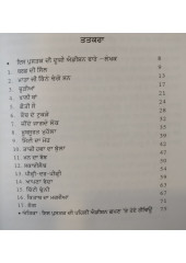 Choorian - A Book of Stories by  Sukhdev Singh Shaant 