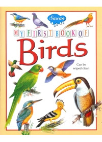 My First Book of Birds 