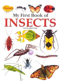 My First Book of Insects