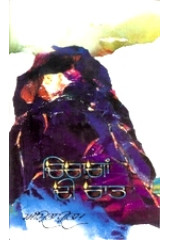 Chiragan Di Rat - Book By Amrita Pritam