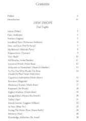 Cosmic Symphony - Book By Bhai Vir Singh Ji