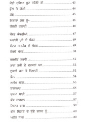 Matak Hulare - Book By Bhai Vir Singh Ji 