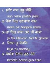 Beant Gun Tere - Audio CDs By Bhai Anoop Singh Ji 