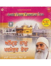 Amrit Naam Parmesar Tera - Audio CDs By Bhai Chamanjit Singh Ji Lal 