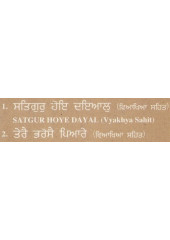 Satgur Hoye Dayal - Audio CDs By Bhai Chamanjit Singh Ji Lal 