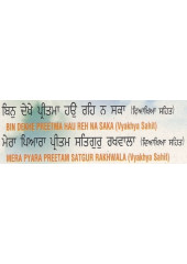 Satgur Rakhwala - Audio CDs By Bhai Chamanjit Singh Ji Lal 