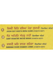 Maha Pavitar Samagam - Audio CDs By Bhai Jasbir Singh Ji Khalsa