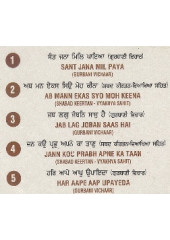 Sant Jana Mil Paya - Audio CDs By Bhai Jasbir Singh Ji Khalsa