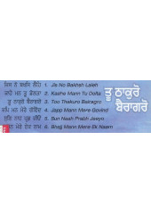 Tu Thakuro Bairago - Audio CDs By Bhai Satvinder Singh Ji , Bhai Harvinder Singh Ji 