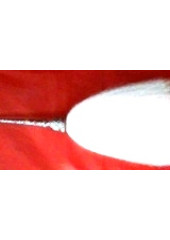 Chaur Sahib - Medium Size With White Metal Handle