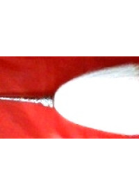 Chaur Sahib - Large Size With White Metal Handle