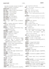 Punjabi English Dictionary 