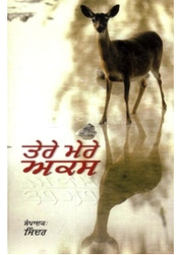 Tere Mere Aks - Book By Jinder
