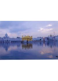 Golden Temple - GT15