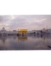 Golden Temple - GTS29