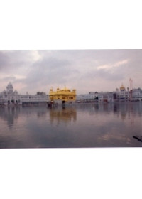 Golden Temple - GTS29