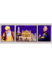 Sikh Gurus - SG45
