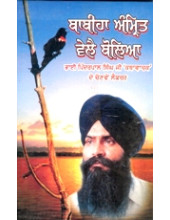 Babiha Amrit Vele Boliya - Book By Pinderpal Singh Ji Katha vachak