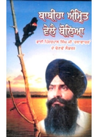 Babiha Amrit Vele Boliya - Book By Pinderpal Singh Ji Katha vachak