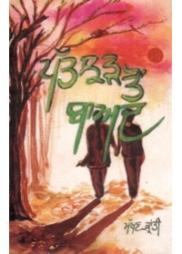 Patjhar Ton Baad - Book By Makhan Kranti 