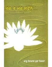 Tere Te Mere Supne - Book By Raju Diyal Pura Mirja