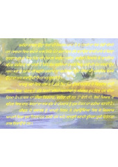 Bajira - Book By Kuldeep Bhatnagar