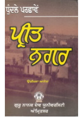 Dhundle Parchaaven Preet Nagar - Book By Urmila Anand
