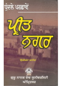 Dhundle Parchaaven Preet Nagar - Book By Urmila Anand