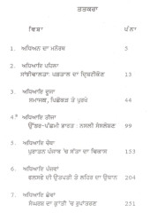 Sikh Falsafe Da Rajneetak Agenda Te Punjabi Commune - Book By Satnam Chana