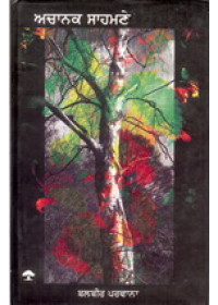 Achanak Sahmne - Book By Balbir Parwana