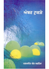 Amber Tukre - Book By Paramjit Kaur Sirhind