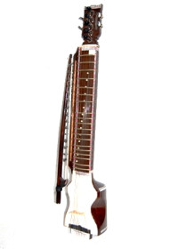 Dilruba - Punjabi Musical Instrument