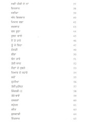 Tere Te Mere Supne - Book By Raju Diyal Pura Mirja