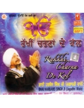 Rakkheen Charna De Kol - MP3s of Bhai Harbans Singh Ji Jagadhri Wale