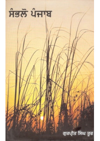 Sambhlo Punjab - Book By Gurpreet Singh Toor