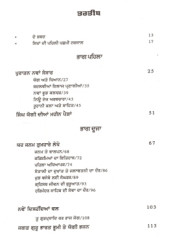 Singh Yogi - Book By Shameel and Balram