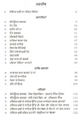 Computer Culture - Book By Ravinder Ravi