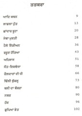 Hello Indian - Book By Surinder Singh Rai 