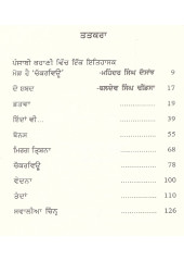 Chakkarview - Book By Baldev Singh Dhindsa