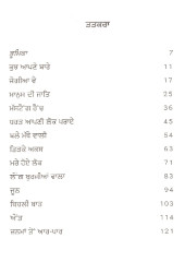 Janama Ton Aar-Paar - Book By Gurpreet Dhaliwal